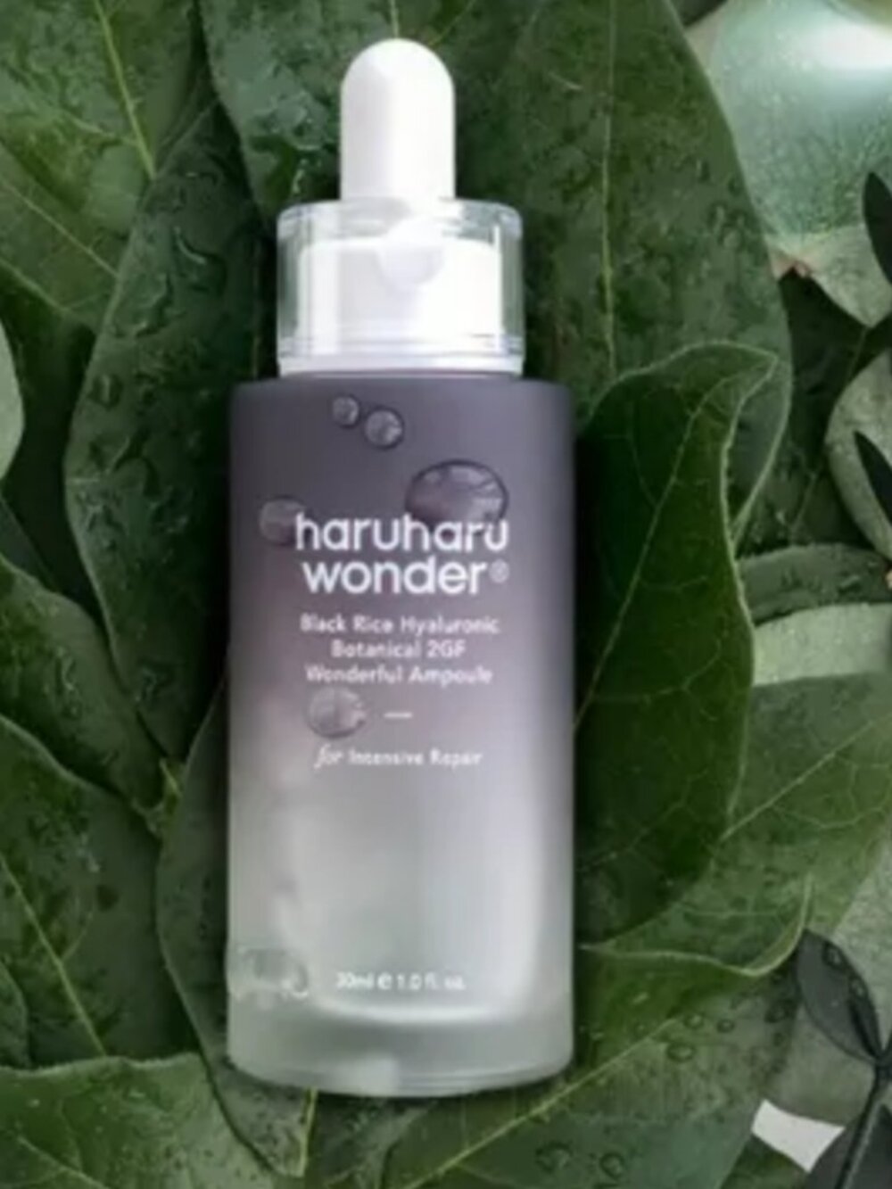 NIB haruharu wonder - Black Rice Hyaluronic Botanical 2GF Wonderful Ampoule